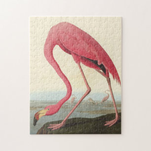 Amerikaanse Flamingo ~ John James Audubon 11 x 14 Legpuzzel