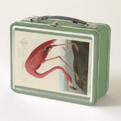 Amerikaanse Flamingo uit Audubon's Birds of Americ (Voorkant)