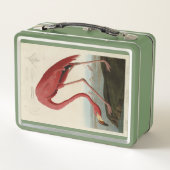 Amerikaanse Flamingo uit Audubon's Birds of Americ (Achterkant)