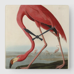 Amerikaanse Flamingo uit Audubon's Birds of Americ Vierkante Klok
