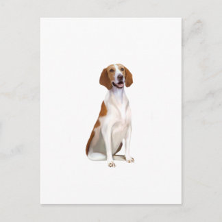 Amerikaanse Foxhound (A) Briefkaart