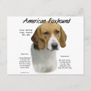 Amerikaanse foxhound geschiedenis, alles over foxh briefkaart