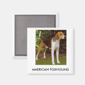 Amerikaanse foxhound magneet (Voorkant / Achterkant)