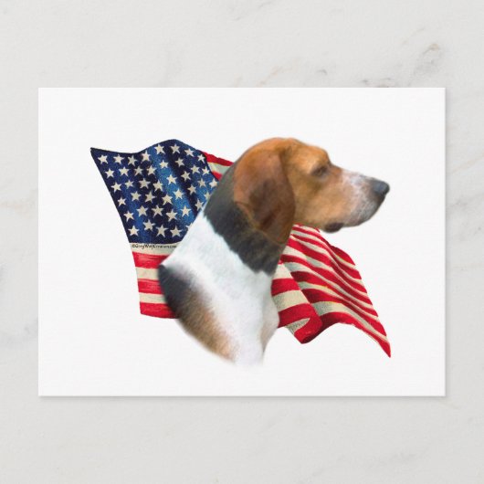 Amerikaanse foxhound vlag briefkaart (Voorkant)