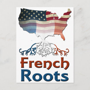 Amerikaanse Franse rots Briefkaart