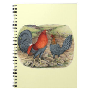 Amerikaanse Game Blue Reds Notitieboek