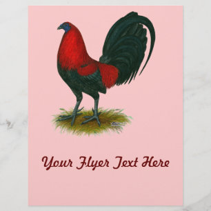 Amerikaanse Gamecock:  Bruin Rood Flyer