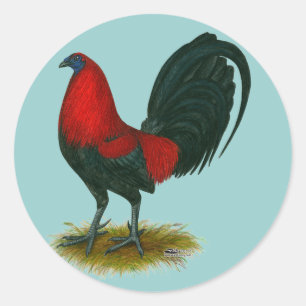 Amerikaanse Gamecock: Bruin Rood Ronde Sticker