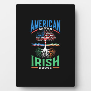 Amerikaanse gekweekte Ierse wortels St. Patrick's Fotoplaat