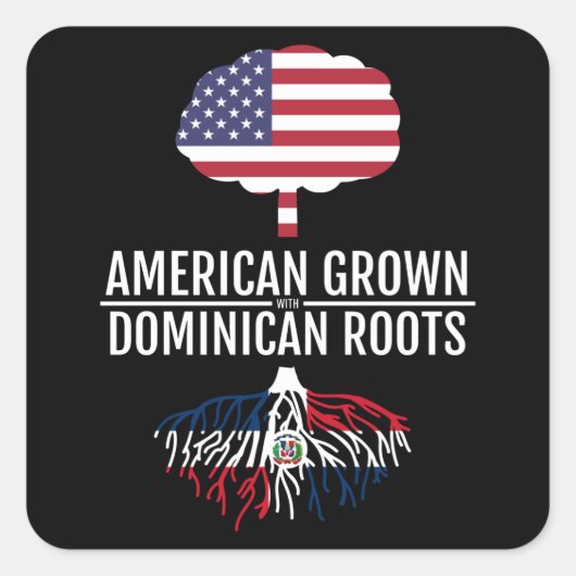 Amerikaanse geteelde Dominicaanse roots nationale  Vierkante Sticker (Voorkant)