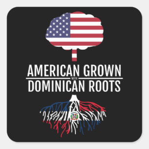 Amerikaanse geteelde Dominicaanse roots nationale  Vierkante Sticker