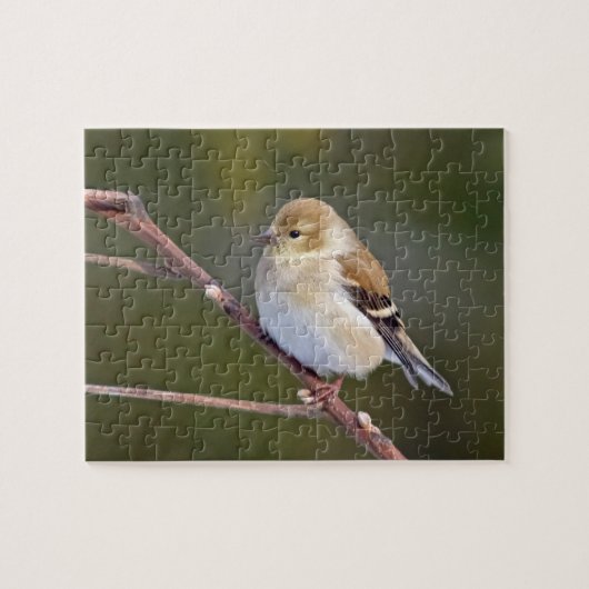 Amerikaanse Goldfinch Legpuzzel (Horizontaal)