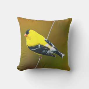 Amerikaanse Goldfinch - originele foto Buitenkussen