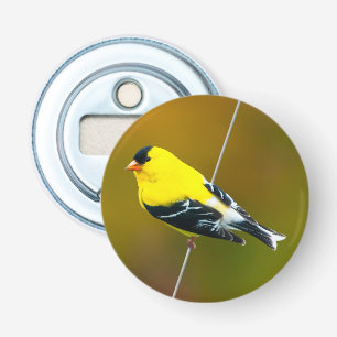 Amerikaanse Goldfinch - originele foto Button Flesopener