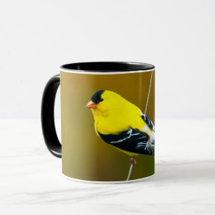 Amerikaanse Goldfinch - originele foto Mok