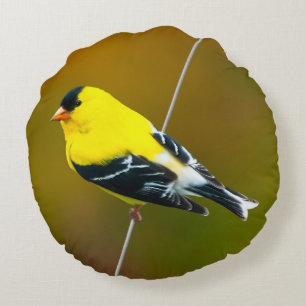 Amerikaanse Goldfinch - originele foto Rond Kussen