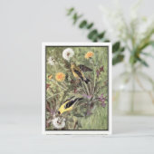 -Amerikaanse Goldfinch - Robert Bruce Horsfall Briefkaart (Staand voorkant)