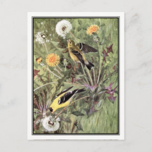 -Amerikaanse Goldfinch - Robert Bruce Horsfall Briefkaart