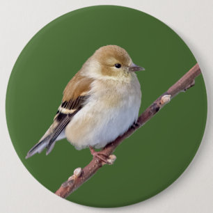 Amerikaanse Goldfinch Ronde Button 6,0 Cm