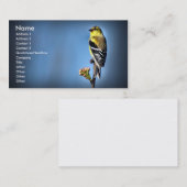 Amerikaanse Goldfinch Visitekaartje (Voorkant / Achterkant)
