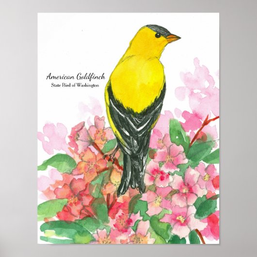 Amerikaanse Goldfinch Yellow in Washington State B Poster (Voorkant)