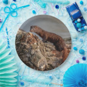 Amerikaanse gootsteen papieren bordje (Feest)