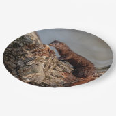 Amerikaanse gootsteen papieren bordje (Gekanteld)