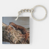 Amerikaanse gootsteen sleutelhanger (Achterkant)