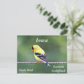 Amerikaanse goudfinefoto briefkaart (Staand voorkant)