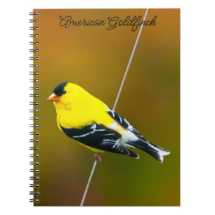 Amerikaanse Goudvink - Originele Foto Notitieboek