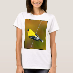 Amerikaanse Goudvink - Originele Foto T-shirt