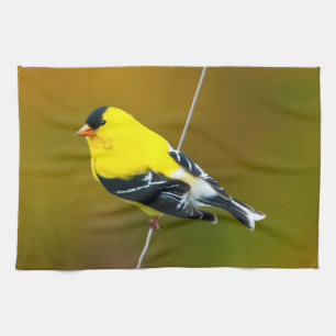 Amerikaanse Goudvink - Originele Foto Theedoek