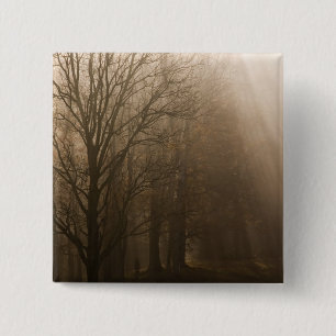 Amerikaanse Great Smoky Mountain NP Tennessee-bome Vierkante Button 5,1 Cm