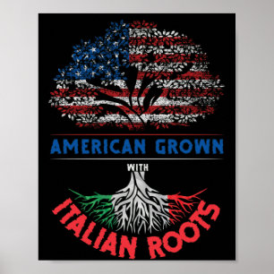 Amerikaanse Groene Italiaanse rots Vlag Venezuela Poster