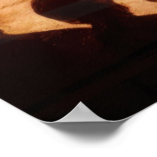 Amerikaanse grondwet met vlag en vuurwerk poster (Hoek)