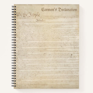 Amerikaanse grondwet notitieboek