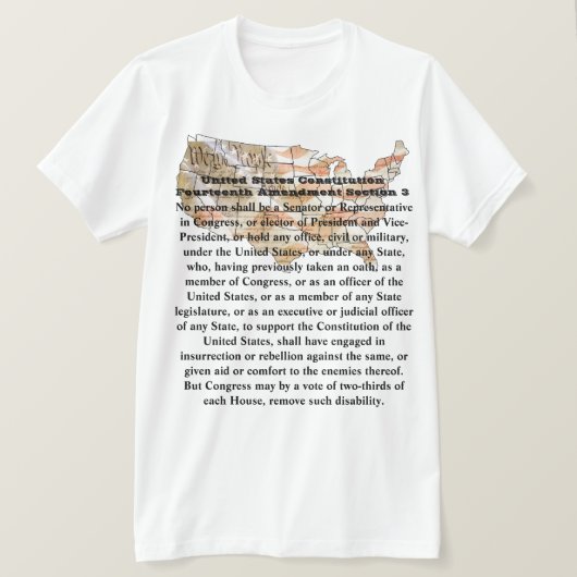 Amerikaanse grondwet Veertiende wijziging Afdeling T-shirt (Design voorkant)