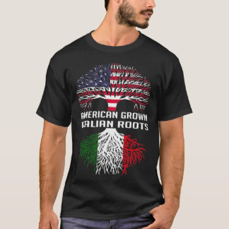 Amerikaanse Groot-Italiaanse Roots Italië Vlag Man T-shirt