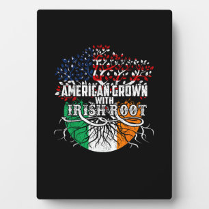 Amerikaanse Grown Irish Root Flag Ireland St Patri Fotoplaat