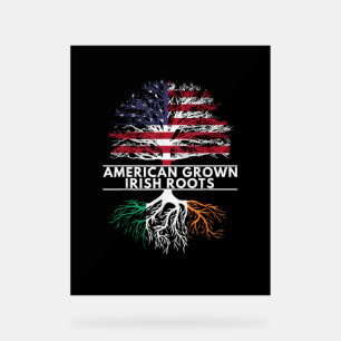 Amerikaanse Grown Irish Roots Flag Ireland ST. PAT Acryl Bord