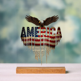 Amerikaanse grunge vlag en adelaar acryl bord