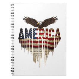 Amerikaanse grunge vlag en adelaar notitieboek