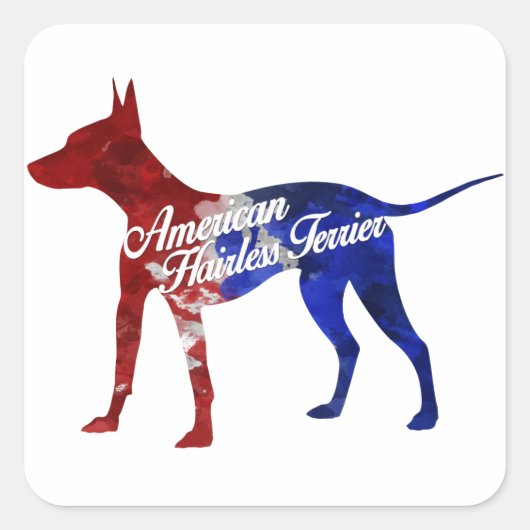 Amerikaanse haarloze Terrier Stickers (Voorkant)