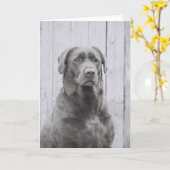 Amerikaanse hond kaart (Gele Bloem)