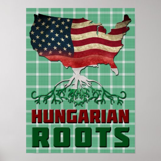 Amerikaanse Hongaarse rots Poster print (Voorkant)