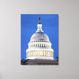 Amerikaanse hoofdkoepel canvas afdruk