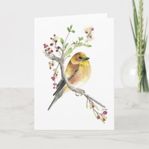 Amerikaanse Kaart van Goldfinch Bird