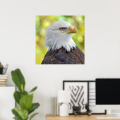 Amerikaanse kale adelaar poster (Thuiskantoor)