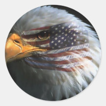 Amerikaanse kale arend met Amerikaanse stickers