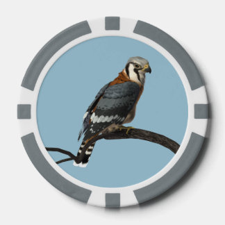 Amerikaanse Kestrel Clay Poker Chip
